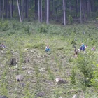 20112308130827-508.jpg
